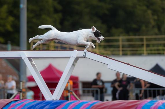 Jméno fotky: fotka 161 / 400