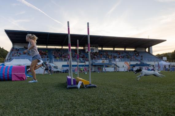 Jméno fotky: fotka 164 / 400