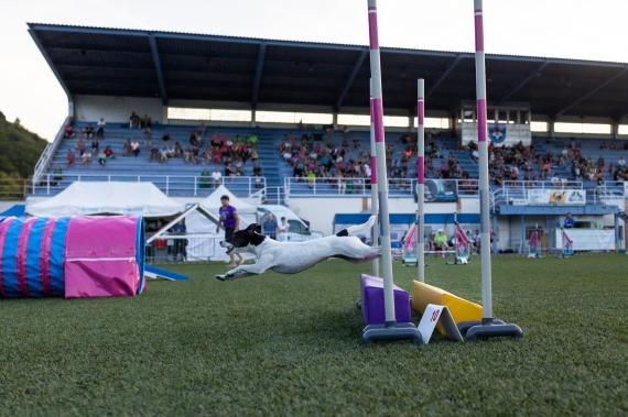 Jméno fotky: fotka 165 / 400