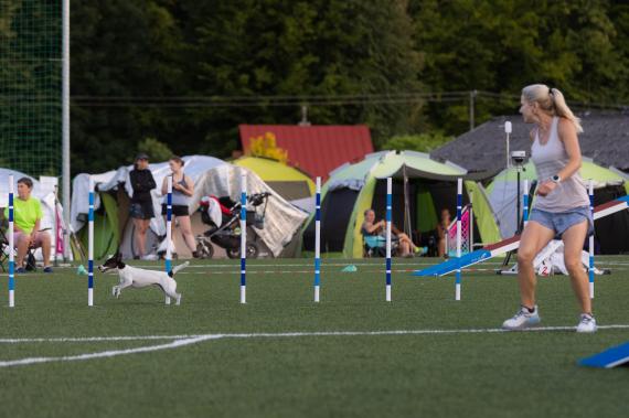 Jméno fotky: fotka 166 / 400