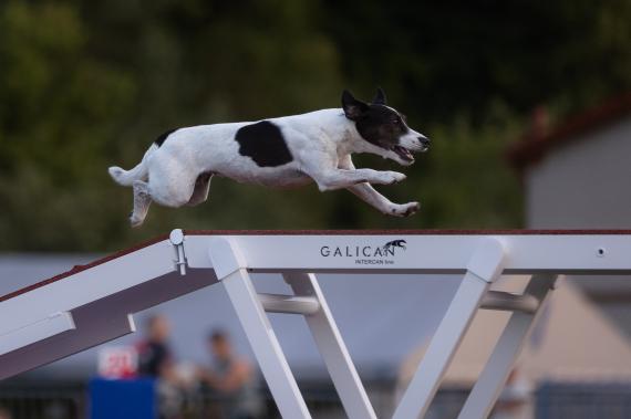 Jméno fotky: fotka 167 / 400