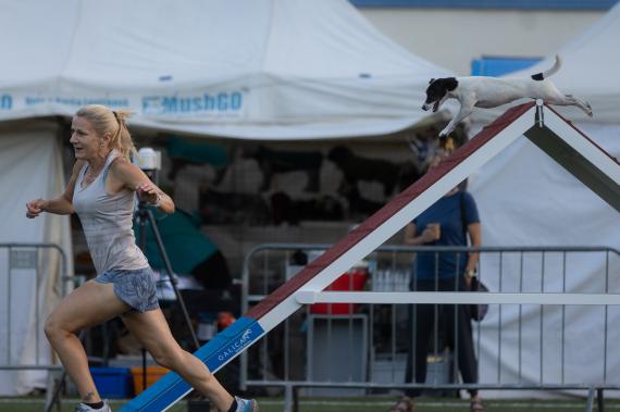 Jméno fotky: fotka 169 / 400