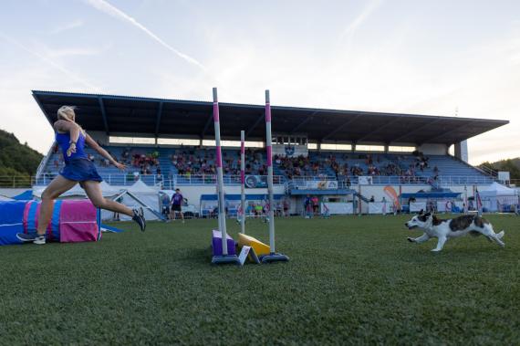 Jméno fotky: fotka 172 / 400