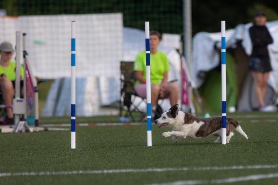 Jméno fotky: fotka 173 / 400