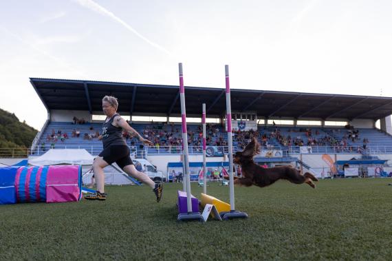 Jméno fotky: fotka 174 / 400