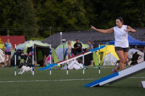 Jméno fotky: fotka 175 / 400