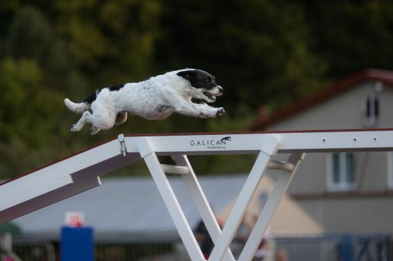 Jméno fotky: fotka 176 / 400