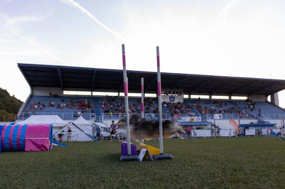 Jméno fotky: fotka 177 / 400