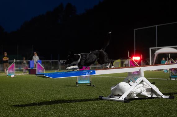 Jméno fotky: fotka 192 / 400