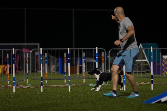 Jméno fotky: fotka 193 / 400