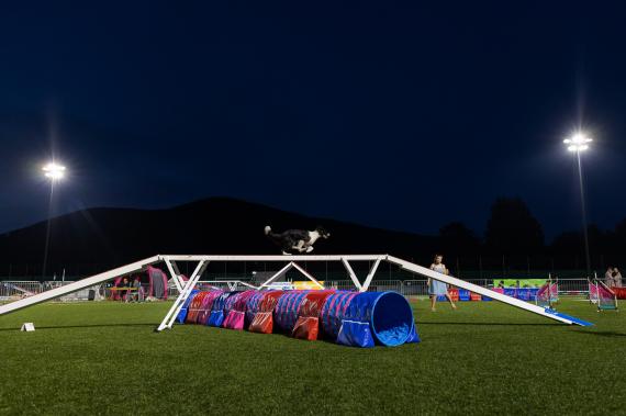 Jméno fotky: fotka 195 / 400