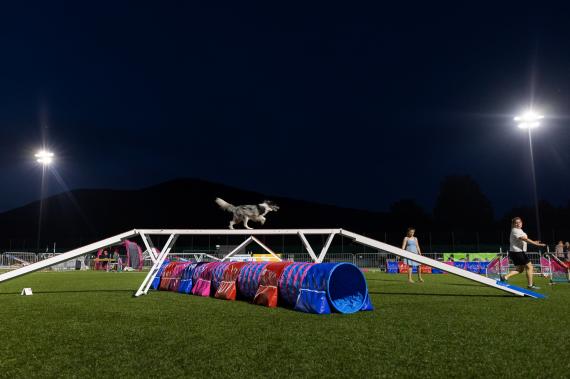 Jméno fotky: fotka 196 / 400