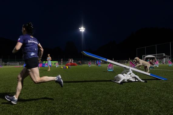 Jméno fotky: fotka 197 / 400