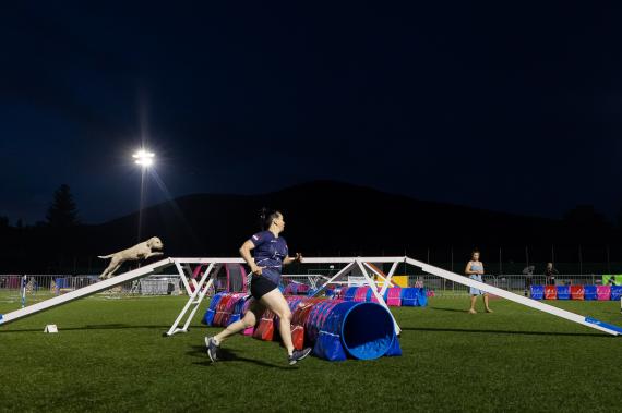 Jméno fotky: fotka 198 / 400