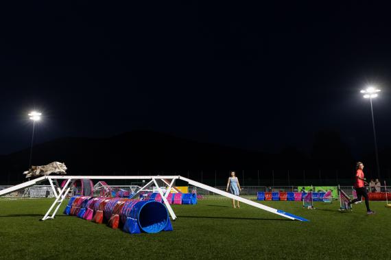 Jméno fotky: fotka 206 / 400