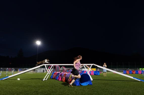 Jméno fotky: fotka 208 / 400