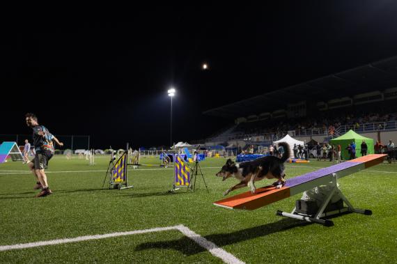 Jméno fotky: fotka 221 / 400