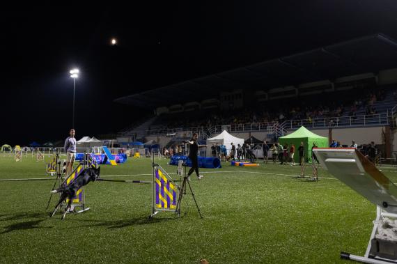 Jméno fotky: fotka 222 / 400