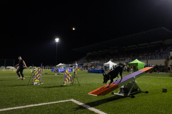 Jméno fotky: fotka 223 / 400