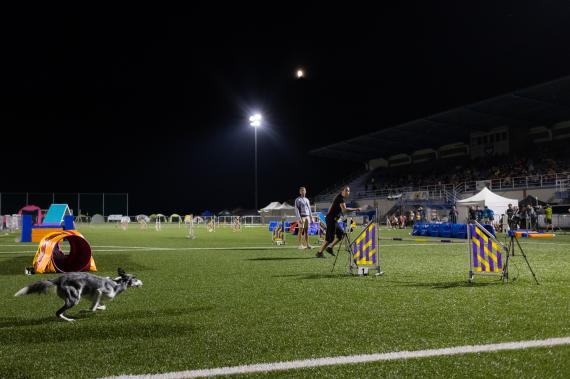 Jméno fotky: fotka 225 / 400