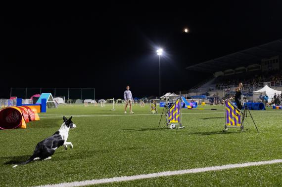 Jméno fotky: fotka 227 / 400