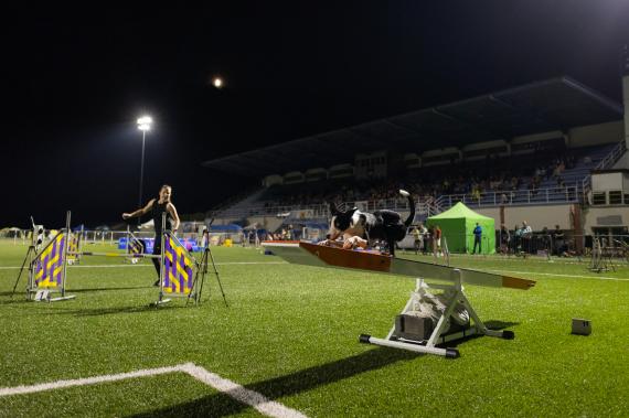 Jméno fotky: fotka 228 / 400