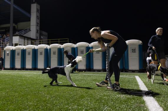 Jméno fotky: fotka 229 / 400