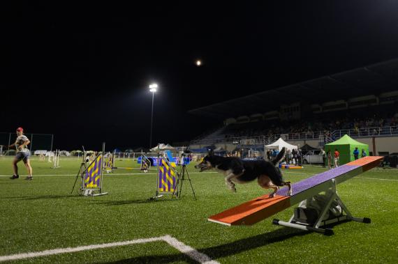 Jméno fotky: fotka 230 / 400