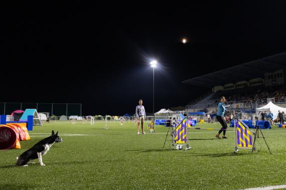 Jméno fotky: fotka 232 / 400