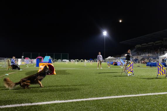 Jméno fotky: fotka 234 / 400