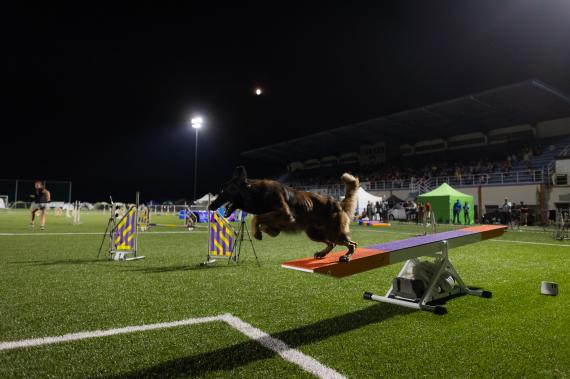 Jméno fotky: fotka 235 / 400