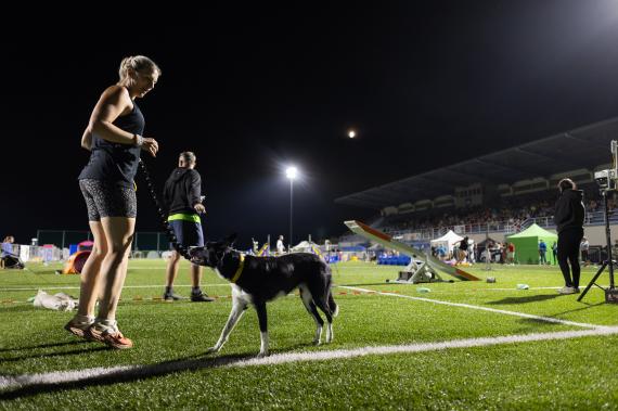 Jméno fotky: fotka 236 / 400