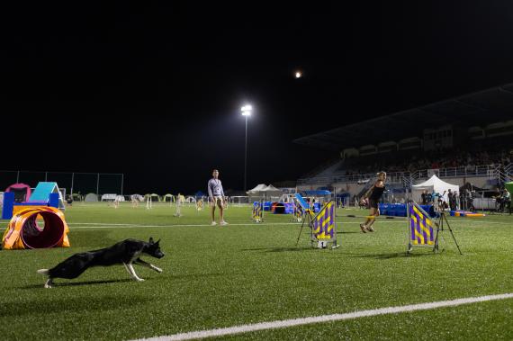 Jméno fotky: fotka 237 / 400