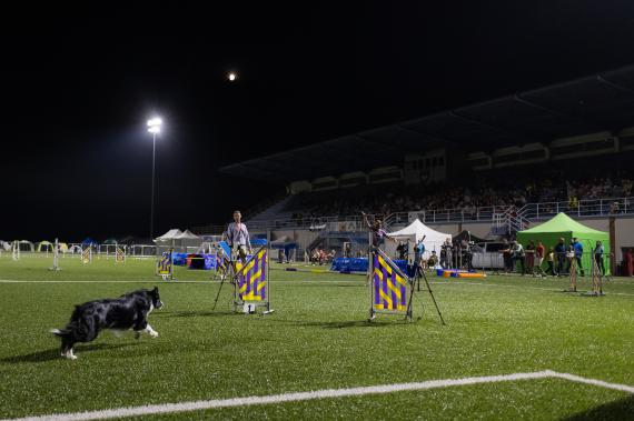 Jméno fotky: fotka 238 / 400