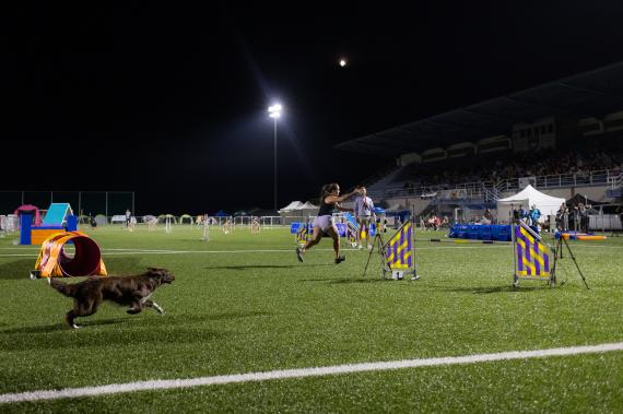 Jméno fotky: fotka 240 / 400