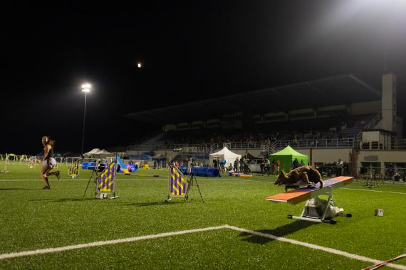 Jméno fotky: fotka 241 / 400