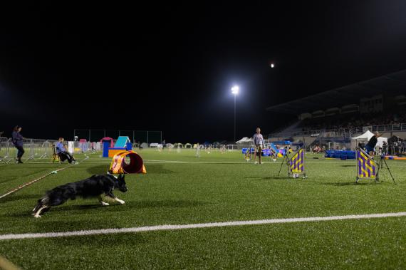 Jméno fotky: fotka 243 / 400