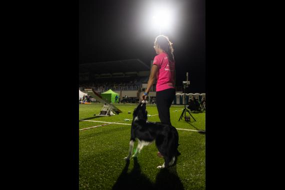 Jméno fotky: fotka 245 / 400