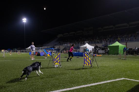 Jméno fotky: fotka 247 / 400