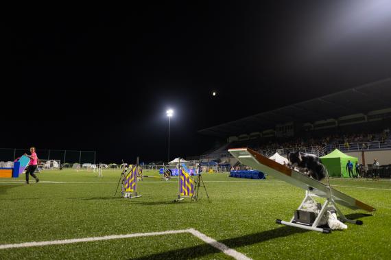 Jméno fotky: fotka 249 / 400