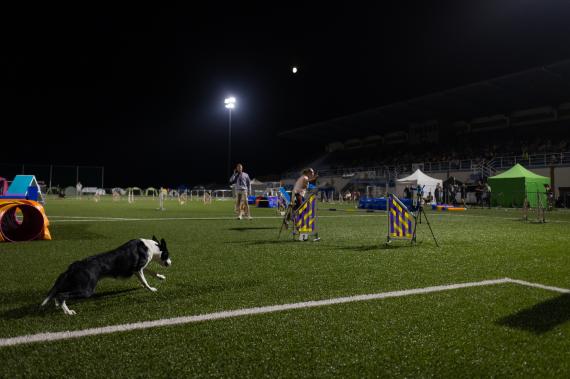 Jméno fotky: fotka 250 / 400