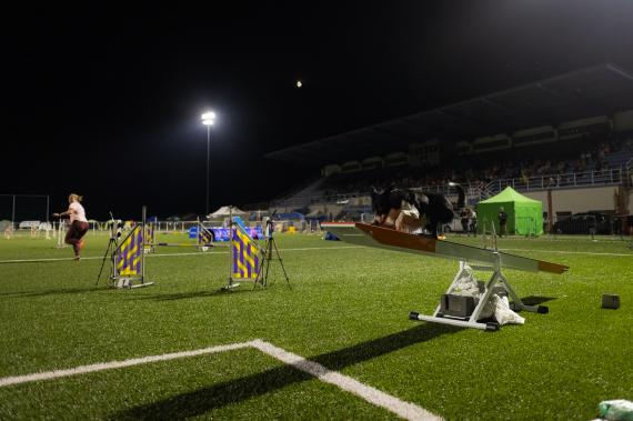 Jméno fotky: fotka 251 / 400