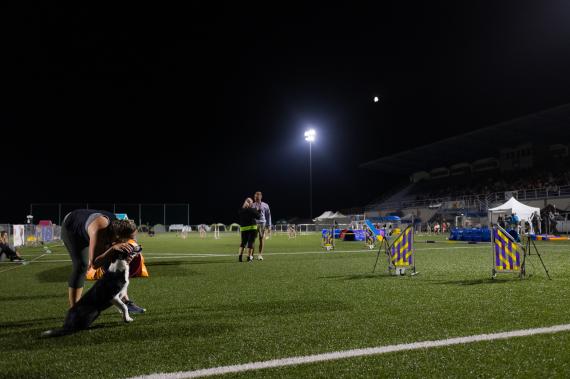 Jméno fotky: fotka 252 / 400