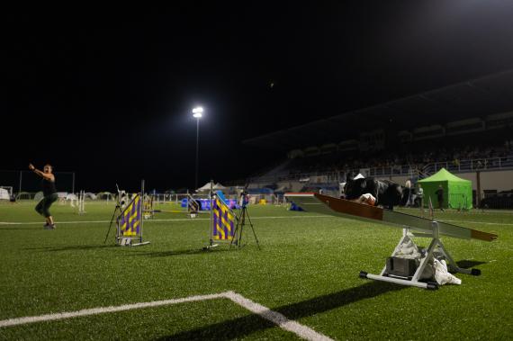 Jméno fotky: fotka 253 / 400