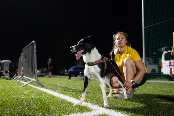 Jméno fotky: fotka 256 / 400