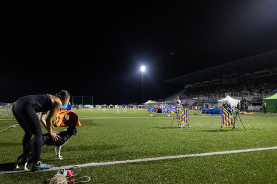 Jméno fotky: fotka 257 / 400