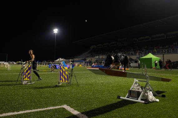 Jméno fotky: fotka 258 / 400