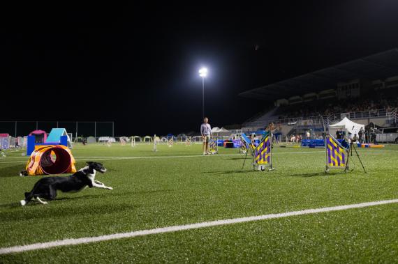 Jméno fotky: fotka 259 / 400