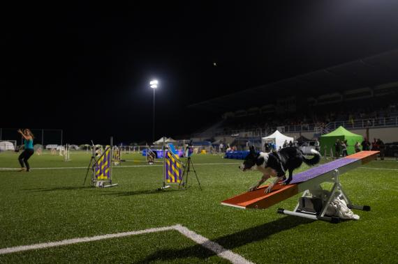 Jméno fotky: fotka 261 / 400