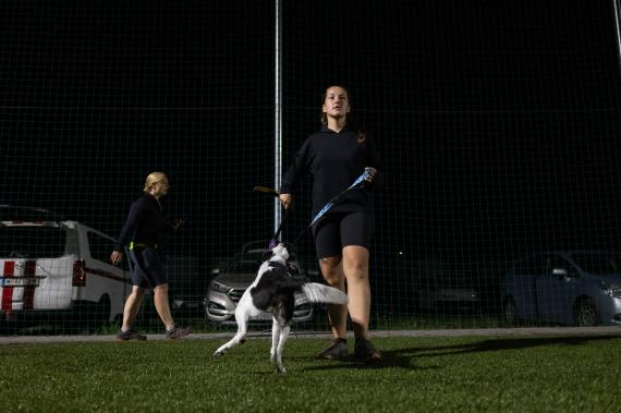 Jméno fotky: fotka 263 / 400